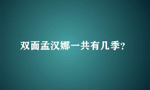 双面孟汉娜一共有几季？