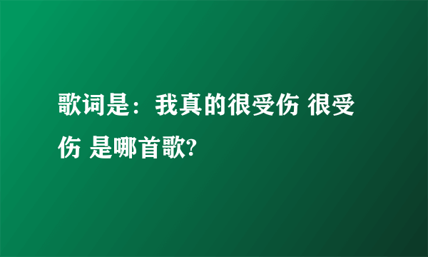 歌词是：我真的很受伤 很受伤 是哪首歌?