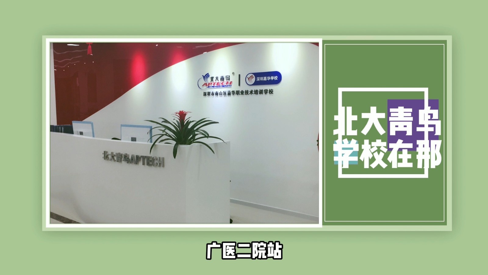 北大青鸟学校在那？