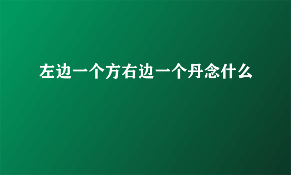 左边一个方右边一个丹念什么