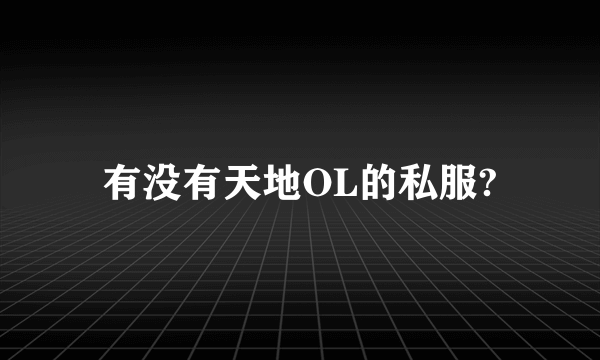 有没有天地OL的私服?