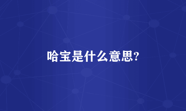 哈宝是什么意思?