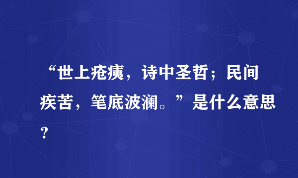 “世上疮痍，诗中圣哲；民间疾苦，笔底波澜。”是什么意思？