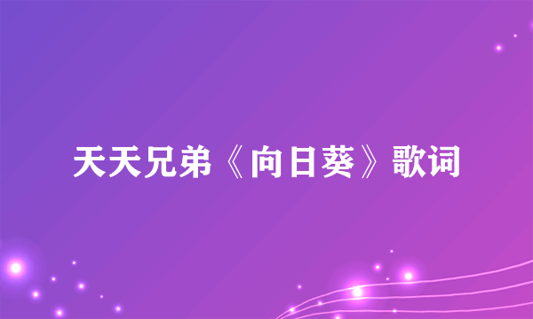 天天兄弟《向日葵》歌词