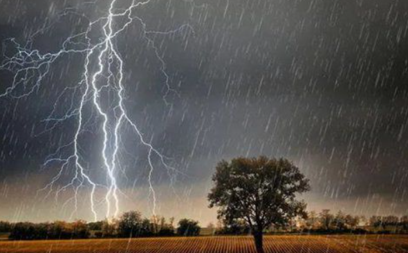 宜宾暴雨致房屋坍塌，导致一村民遇难，这场暴雨还造成了哪些损失？