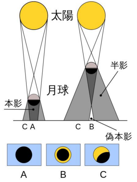 金环日食奇观，是不是每个地方都能看到？几点开始的？