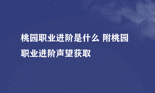 桃园职业进阶是什么 附桃园职业进阶声望获取