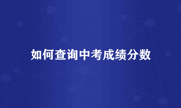如何查询中考成绩分数