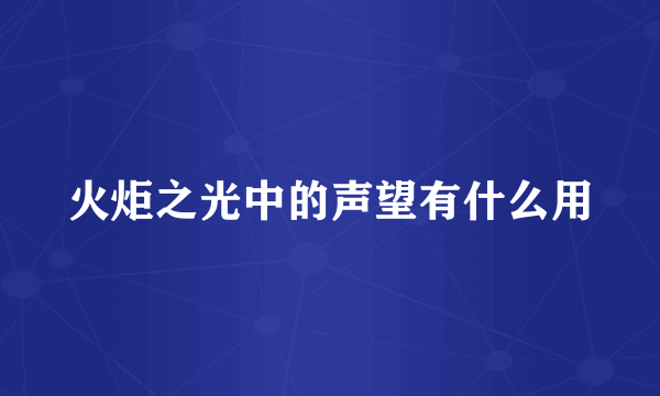 火炬之光中的声望有什么用