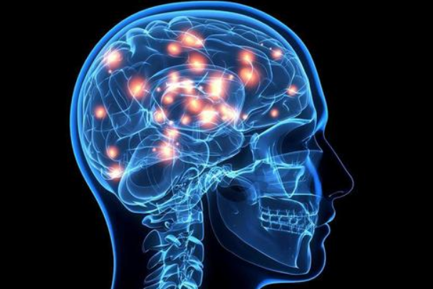 人的大脑一般开发了多少？