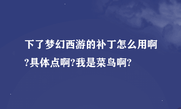 下了梦幻西游的补丁怎么用啊?具体点啊?我是菜鸟啊?