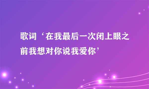 歌词‘在我最后一次闭上眼之前我想对你说我爱你’