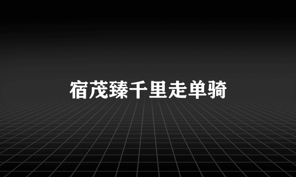 宿茂臻千里走单骑