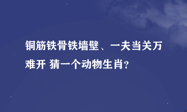 铜筋铁骨铁墙壁、一夫当关万难开 猜一个动物生肖？