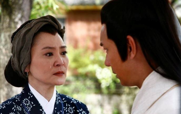刘雪华演过多少电视剧？