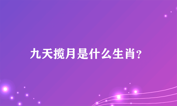九天揽月是什么生肖？