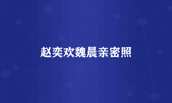 赵奕欢魏晨亲密照