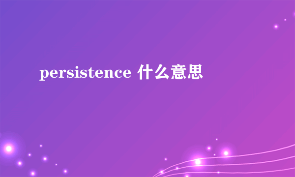 persistence 什么意思