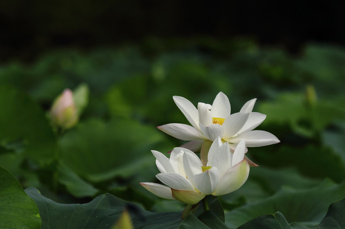 越发怎么造句