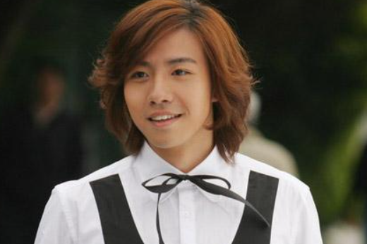 一起来看流星雨演员表有哪些人？
