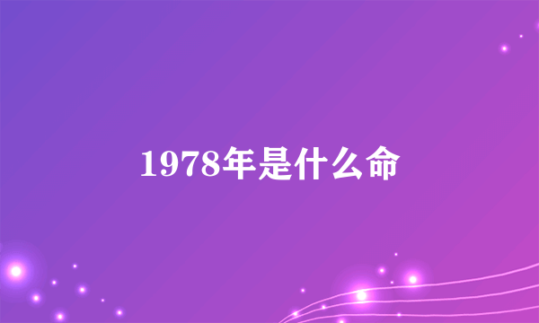 1978年是什么命