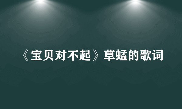 《宝贝对不起》草蜢的歌词