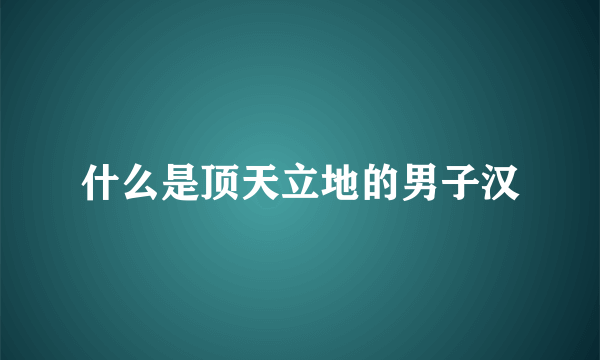什么是顶天立地的男子汉