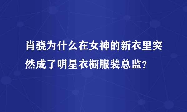 肖骁为什么在女神的新衣里突然成了明星衣橱服装总监？