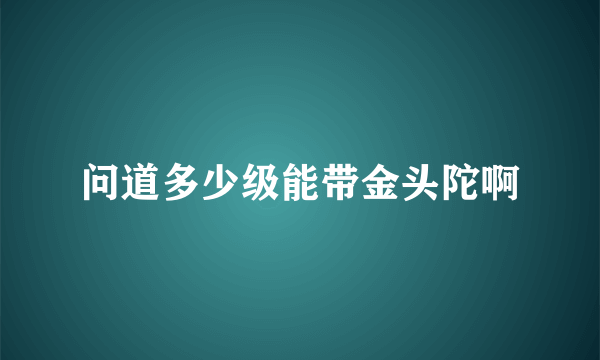 问道多少级能带金头陀啊