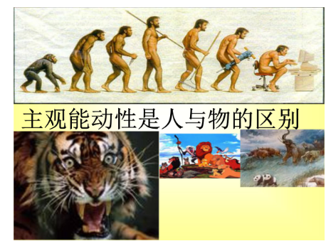 主观能动性通俗点讲是什么意思