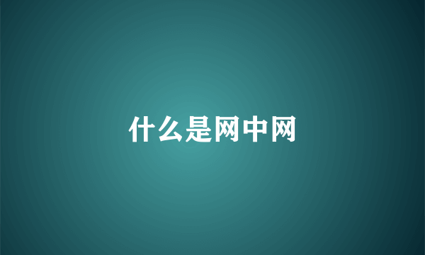 什么是网中网