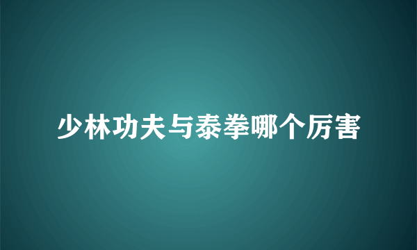 少林功夫与泰拳哪个厉害