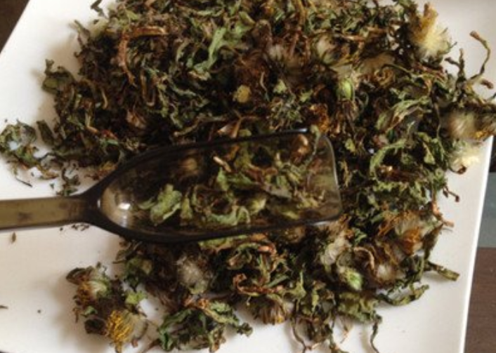 如何正确制作干蒲公英