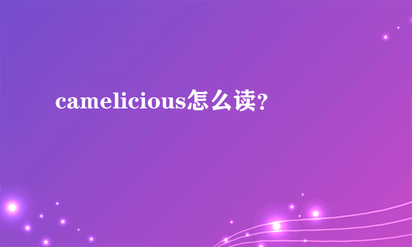 camelicious怎么读？