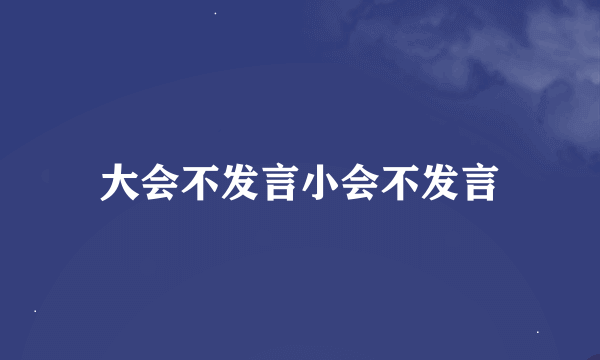 大会不发言小会不发言