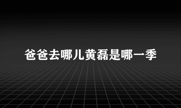 爸爸去哪儿黄磊是哪一季
