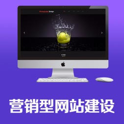 为公司建立一个网站需要哪些费用？