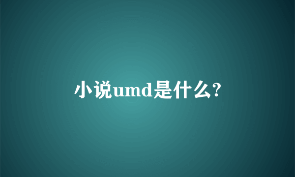 小说umd是什么?