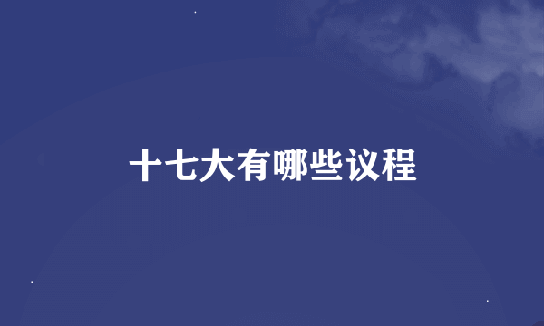 十七大有哪些议程