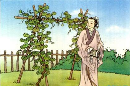 《我要的是葫芦》告诉我们什么道理