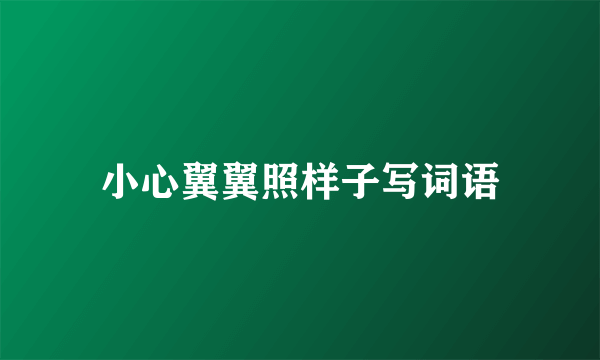 小心翼翼照样子写词语