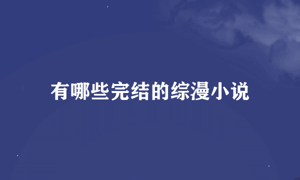 有哪些完结的综漫小说