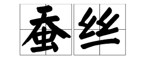 silk是什么意思？