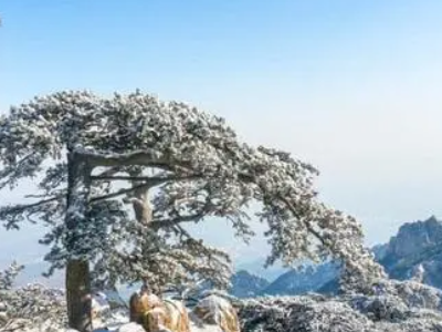 大雪压青松,青松挺直的意思是什么