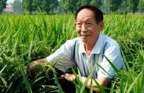 袁隆平怎么去世的?