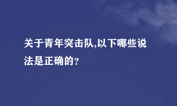 关于青年突击队,以下哪些说法是正确的？
