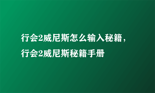 行会2威尼斯怎么输入秘籍，行会2威尼斯秘籍手册