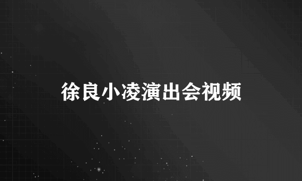 徐良小凌演出会视频