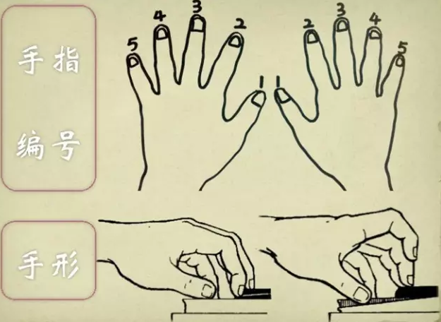 钢琴应该怎么学？