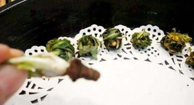 如何正确制作干蒲公英